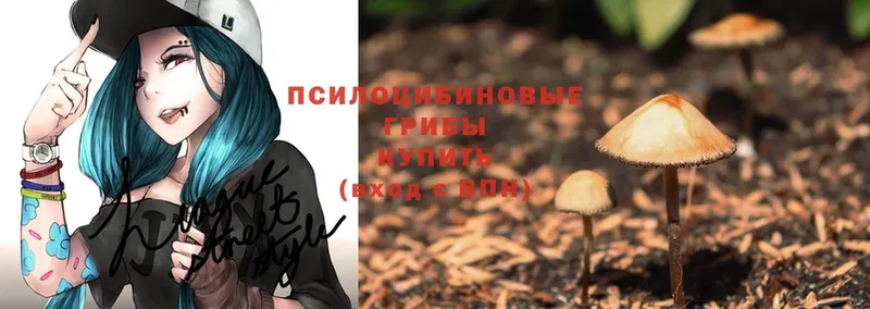 купить  цена  hydra сайт  Псилоцибиновые грибы Magic Shrooms  Железноводск 